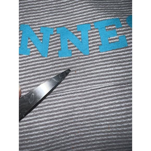 Dollywood Hoodie Sweatshirt Size S Gray Striped Blue Butterfly Dolly Parton - Picture 9 of 16